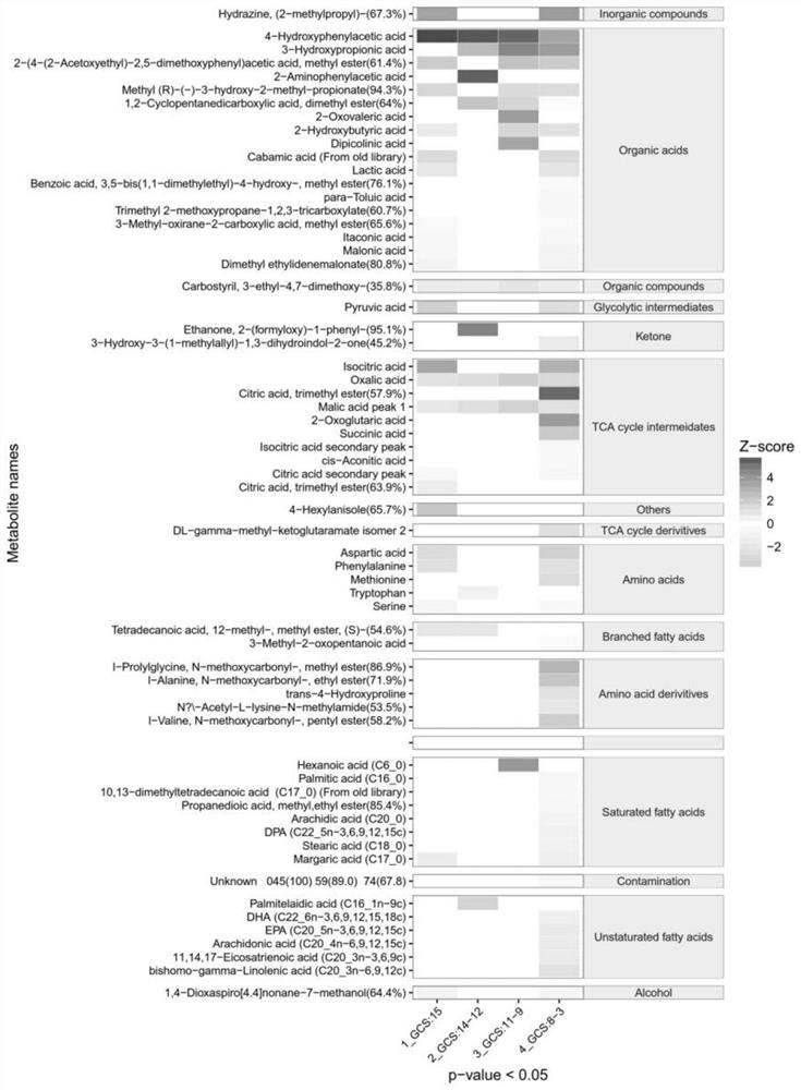 Application of 4-hydroxyphenylacetic acid as marker in preparation of diagnostic kit for sepsis encephalopathy