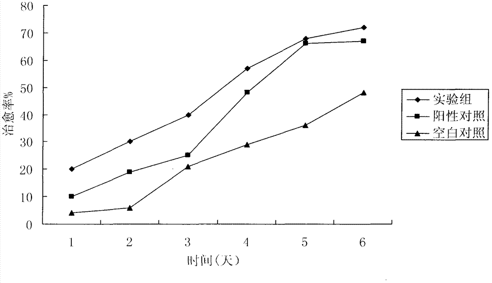 Stem cells or other bioactive substances doped surgical dressing