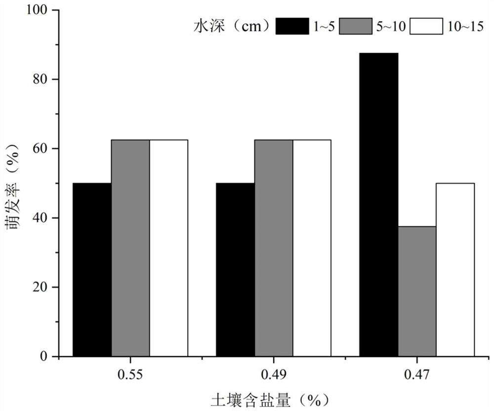 Method for transforming soda saline-alkali soil waste fishpond into typha wetland