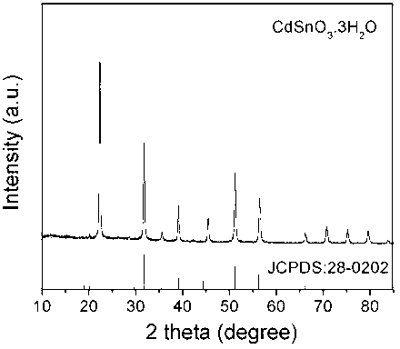 Photocatalyst and preparation method and application thereof