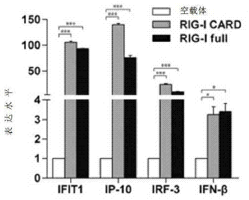 Goose-origin gene RIG-I (retinoic acid-inducible gene-I) with anti-Newcastle disease virus activities and application thereof