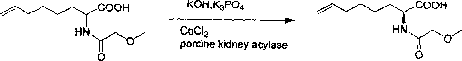 Method for synthesizing 2 - amido - 9 - capric olefine acid