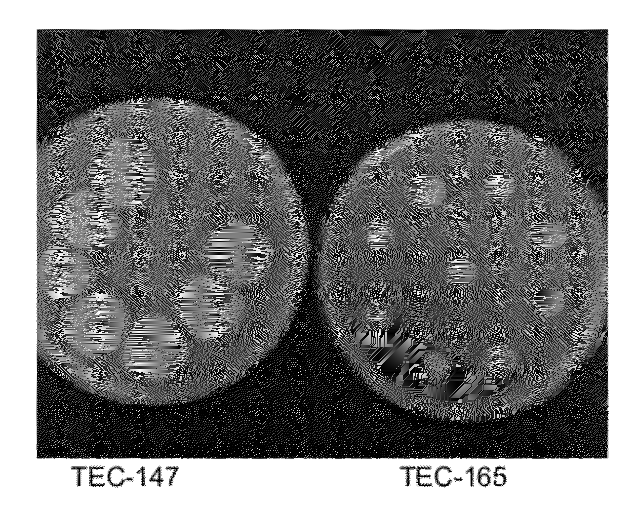 Talaromyces strains and enzyme compositions