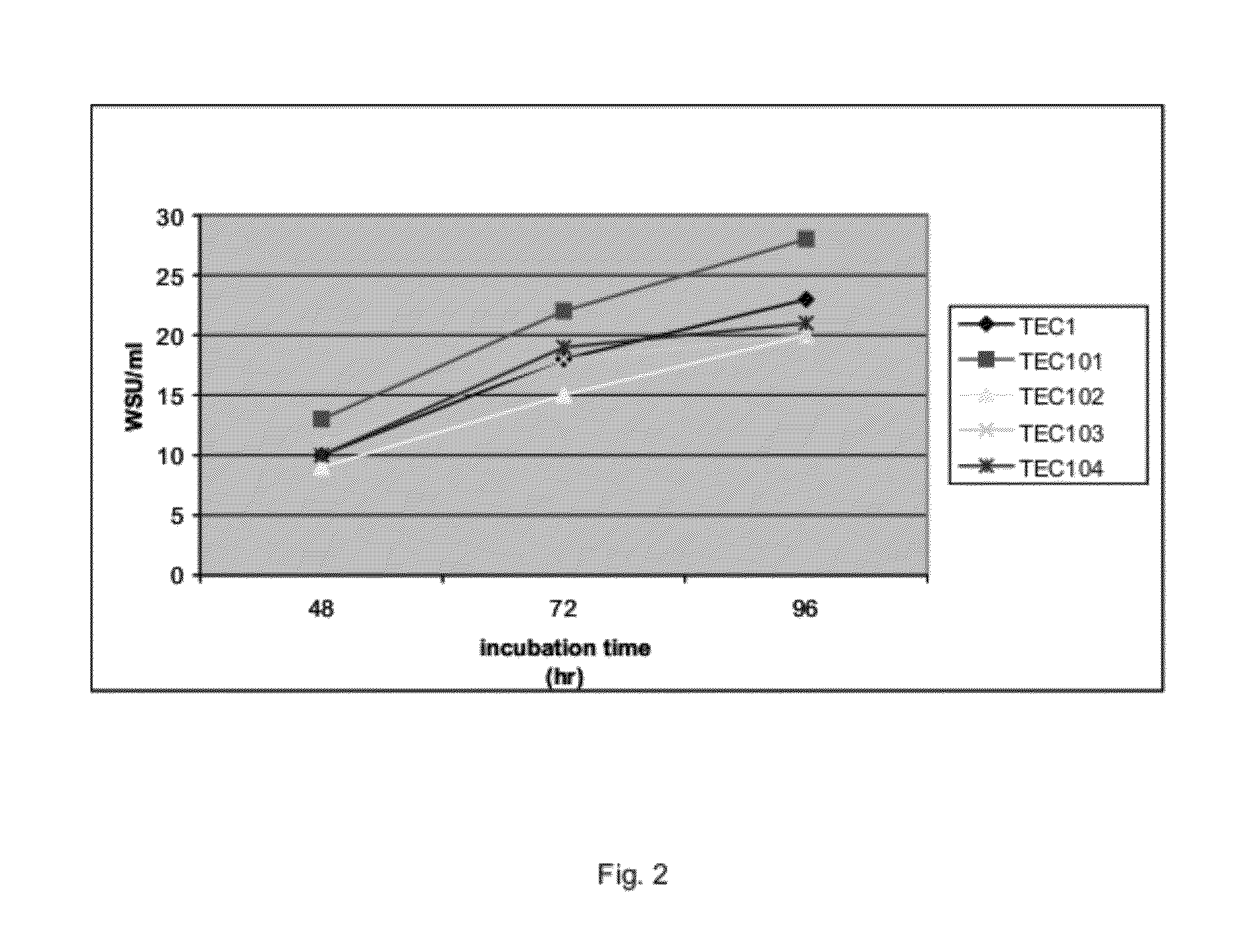 Talaromyces strains and enzyme compositions