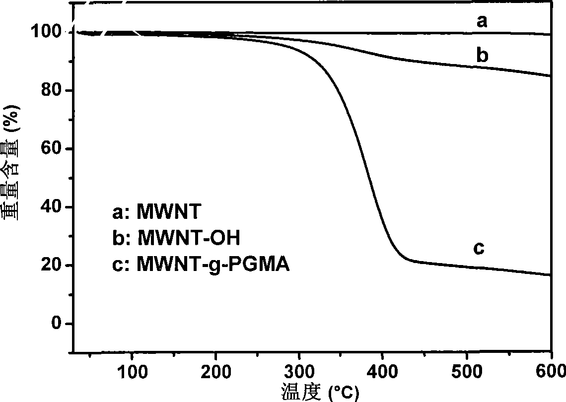 Functional carbon material synthesized with one-step reaction and method for producing the same