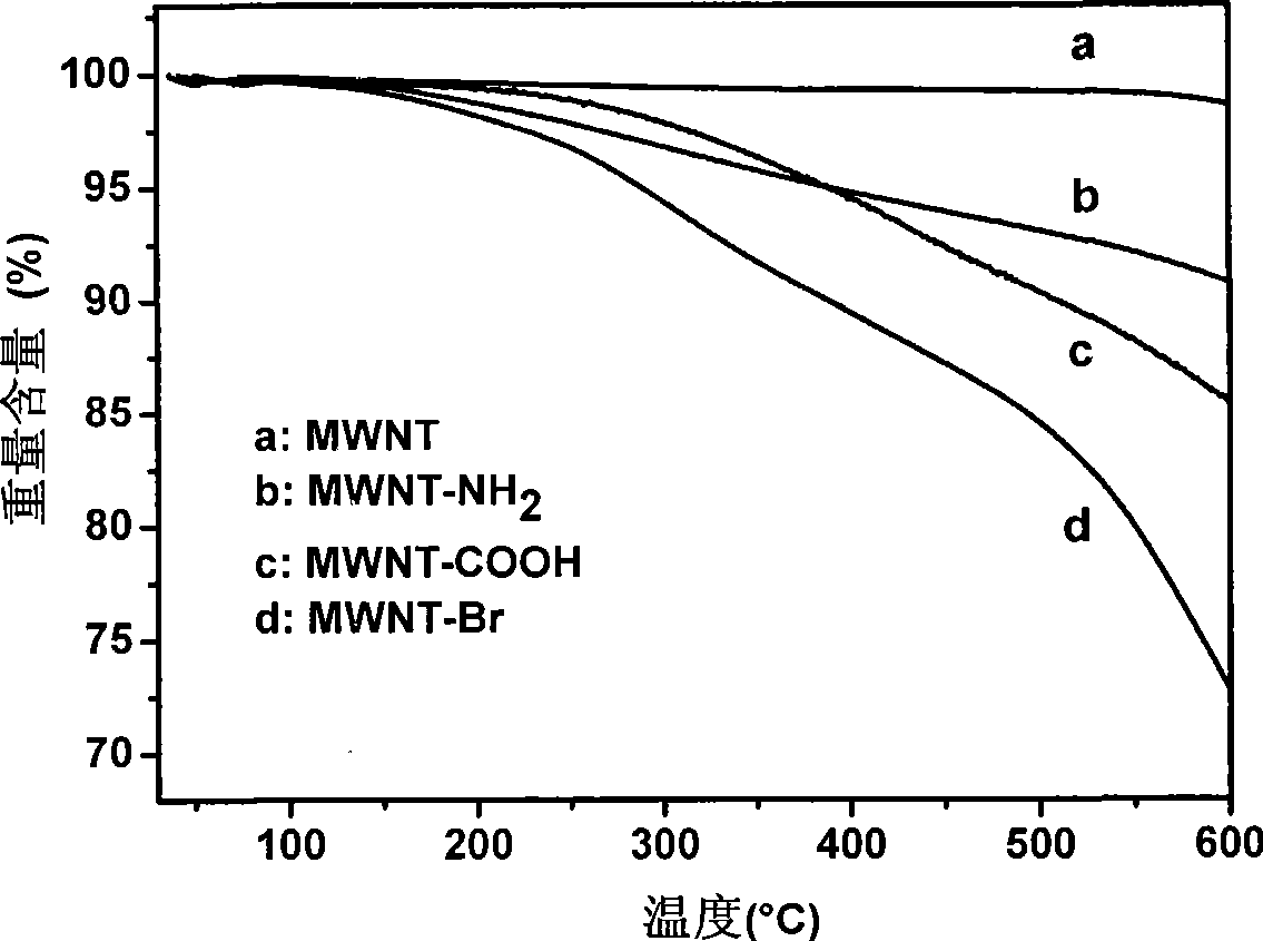 Functional carbon material synthesized with one-step reaction and method for producing the same