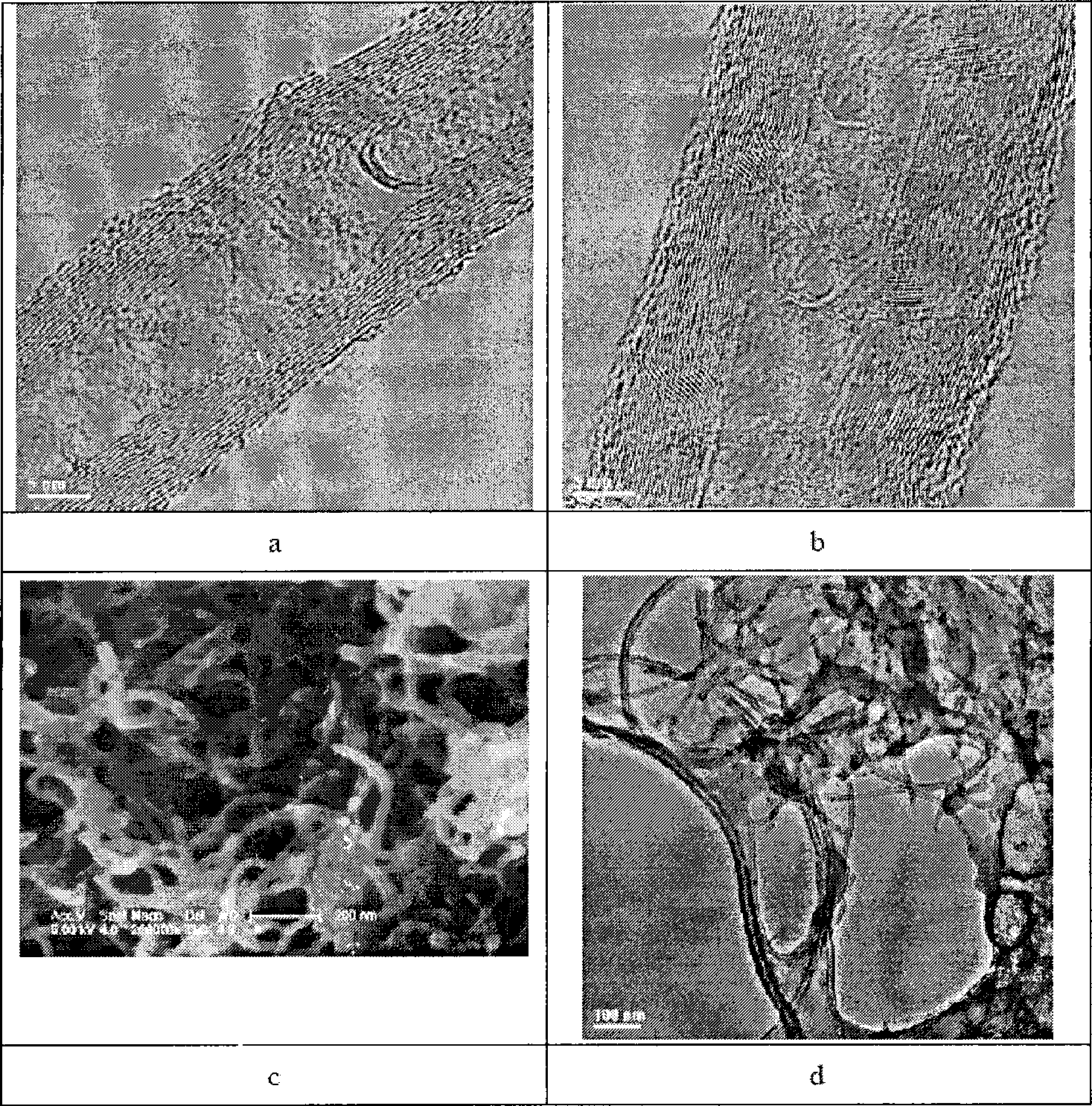 Functional carbon material synthesized with one-step reaction and method for producing the same