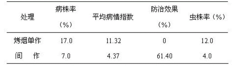 Method for controlling pest and disease damage of flue-cured tobacco by using pelargonium graveolens