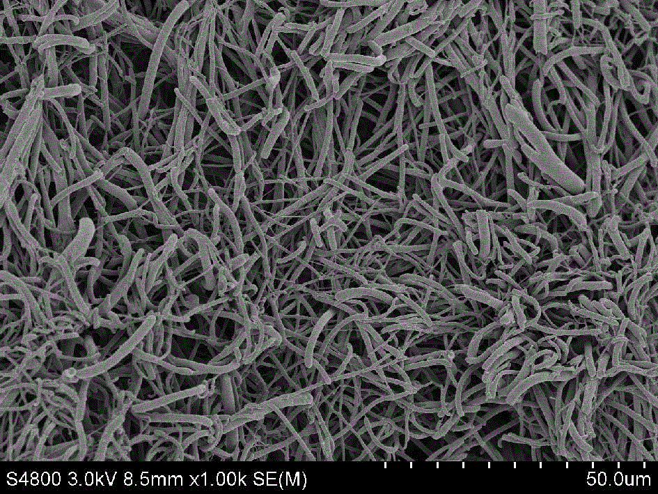 Coating process of medicament coating on implantable or interventional medical device