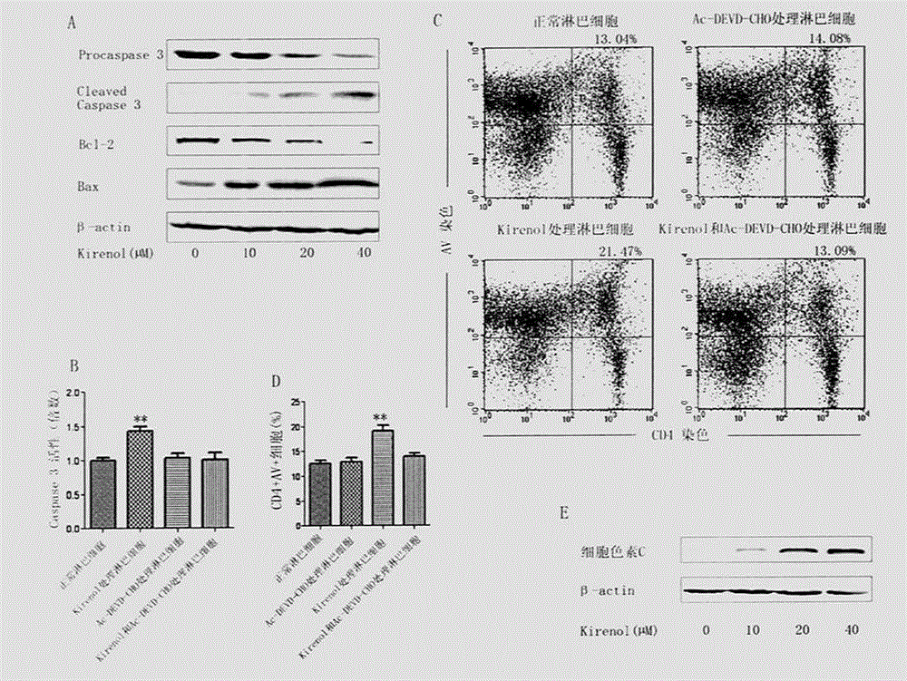 Use of kirenol in preparation of drug for treating multiple sclerosis