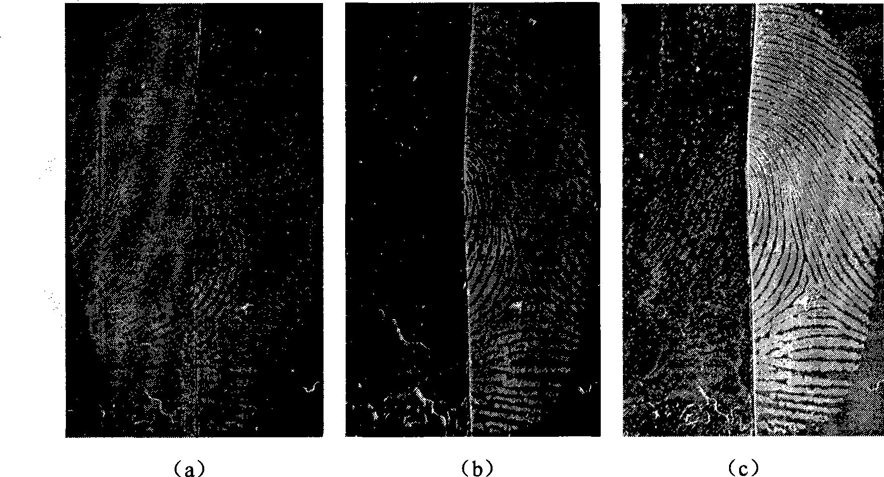 Preparation of fluorescer for visualizing latent fingermark on viscous surface of adhesive tape