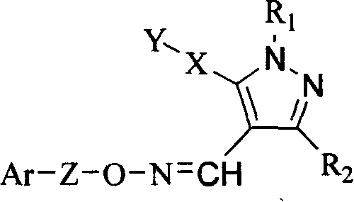 Pyrazol oxime ether derivatives and preparation process and use thereof