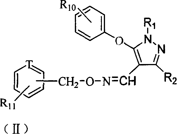 Pyrazol oxime ether derivatives and preparation process and use thereof