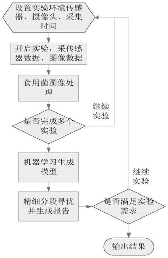 Edible mushroom growth parameter optimizing system and method