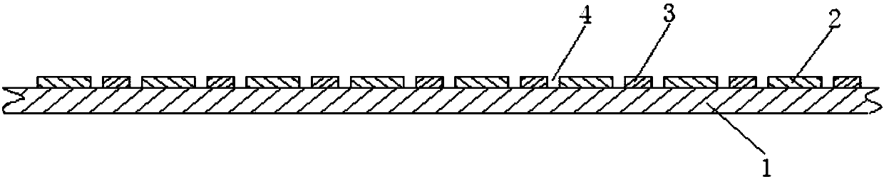 Pretreatment method of cunninghamia lanceolata floor board material