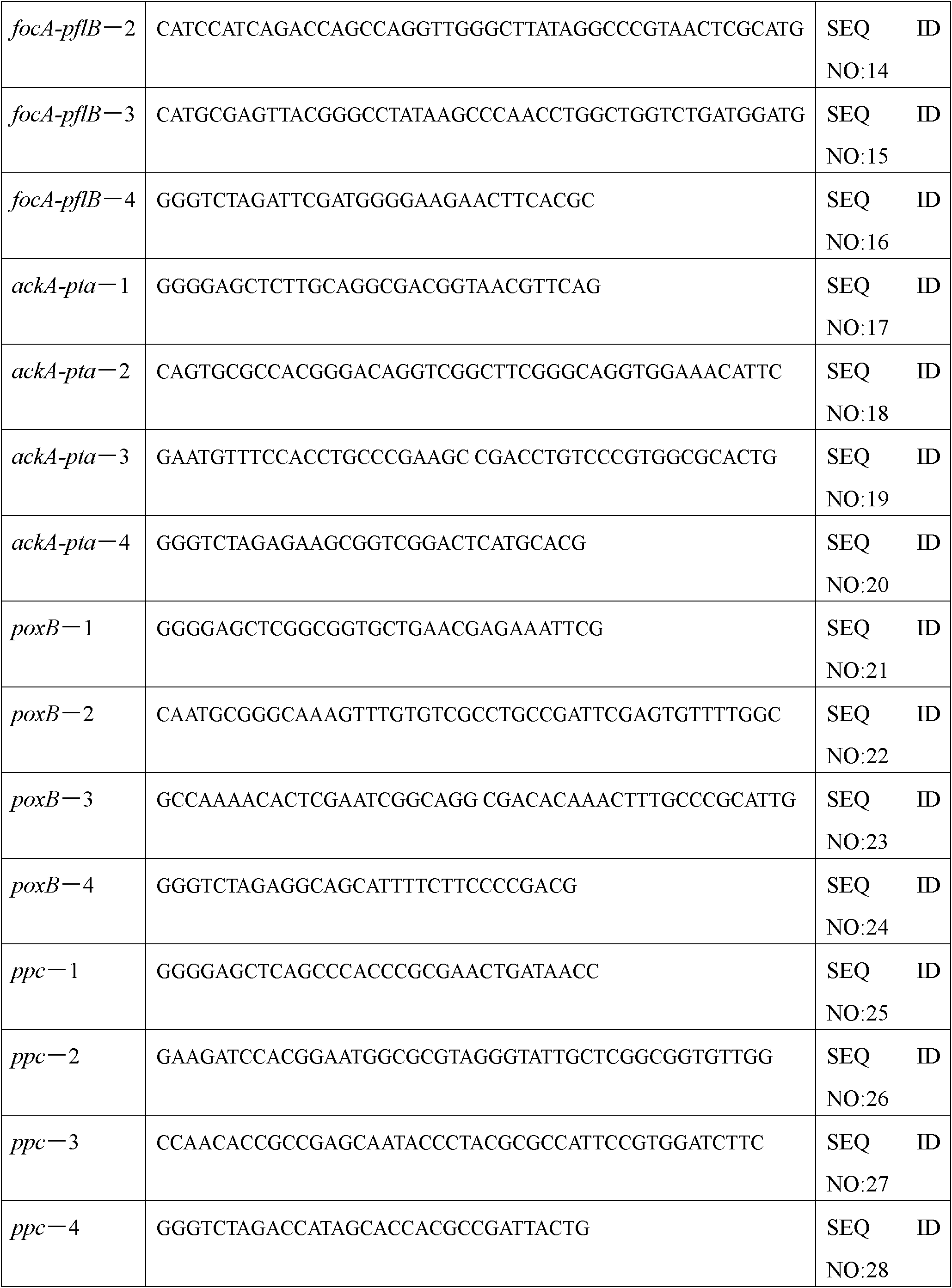 High-yield succinic acid strain and its application