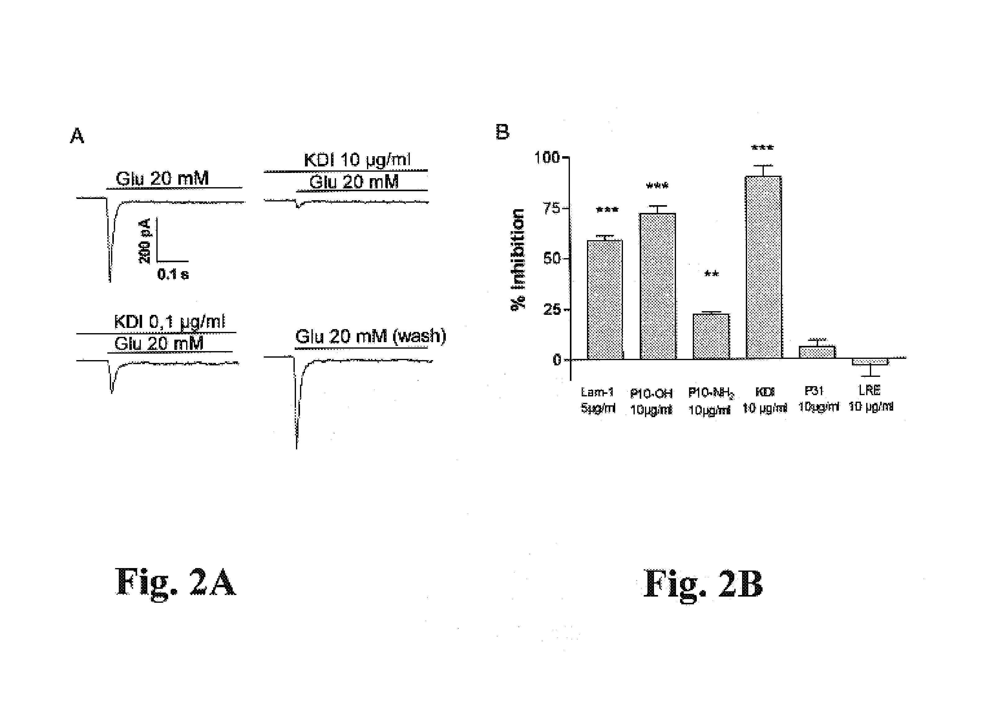 Methods of inhibiting glutamate receptors by administering the tripeptide KDI