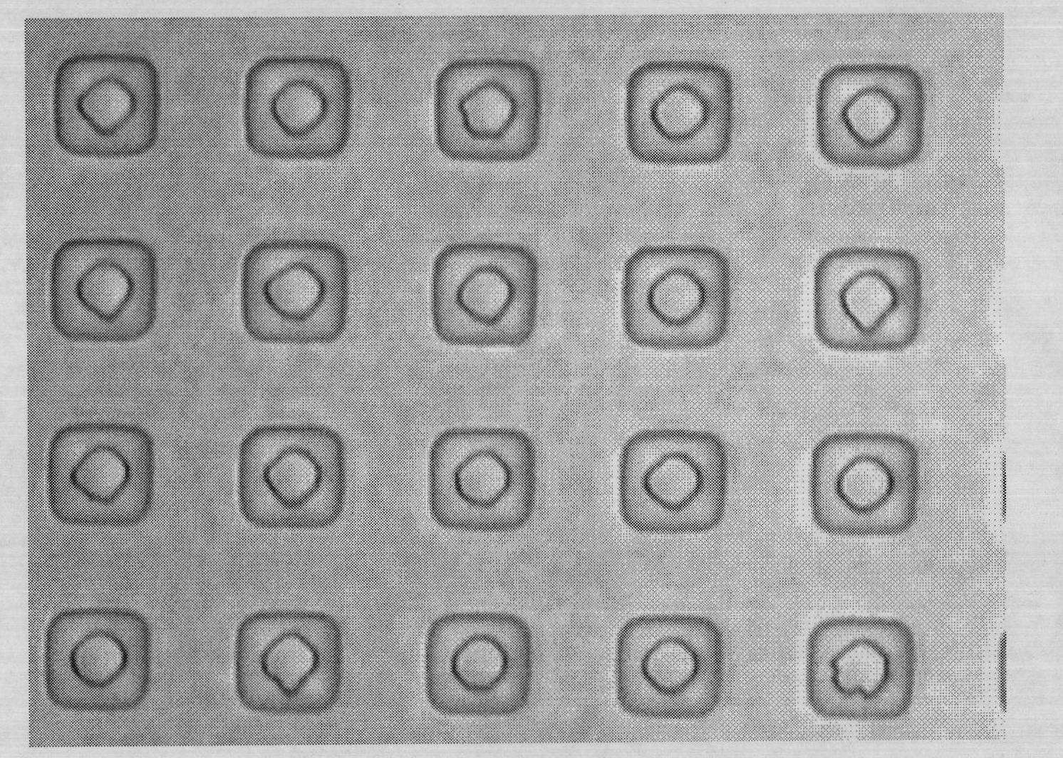 Indium columns for face-down bonding interconnection of infrared focal plane and preparation method thereof