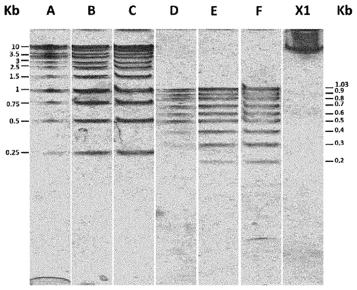 Method for visualizing biomolecules, such as proteins or nucleic acids, with the unaided eye, without needing to use potentially toxic compounds, exposure to ultraviolet (UV) light or fluorescence