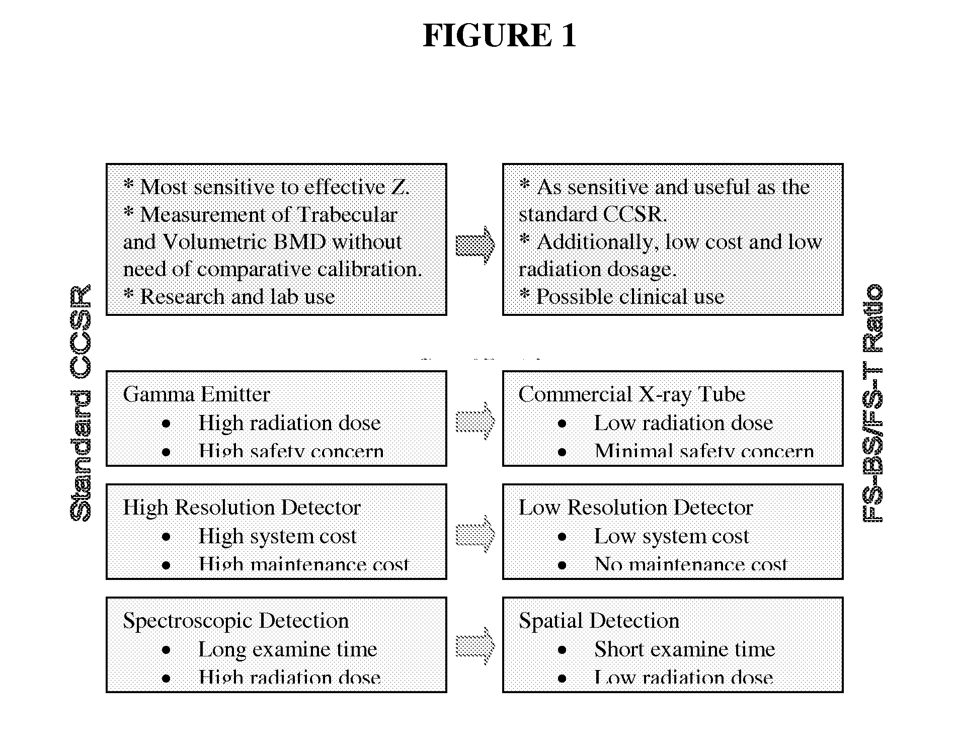 X-ray scattering bone densitometer and method of use