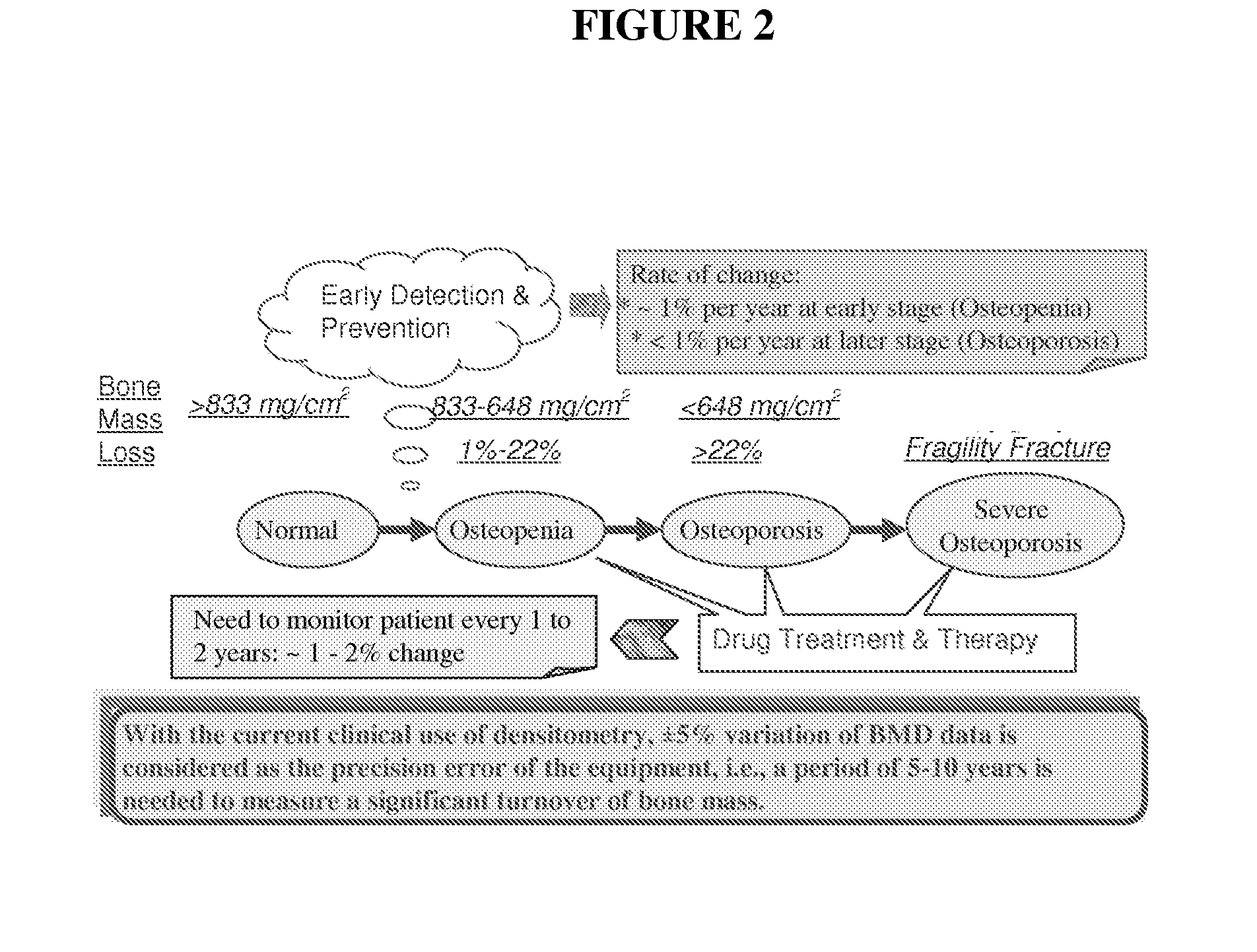 X-ray scattering bone densitometer and method of use