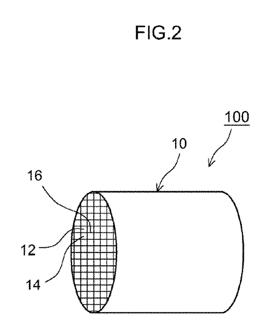 Exhaust gas purification device