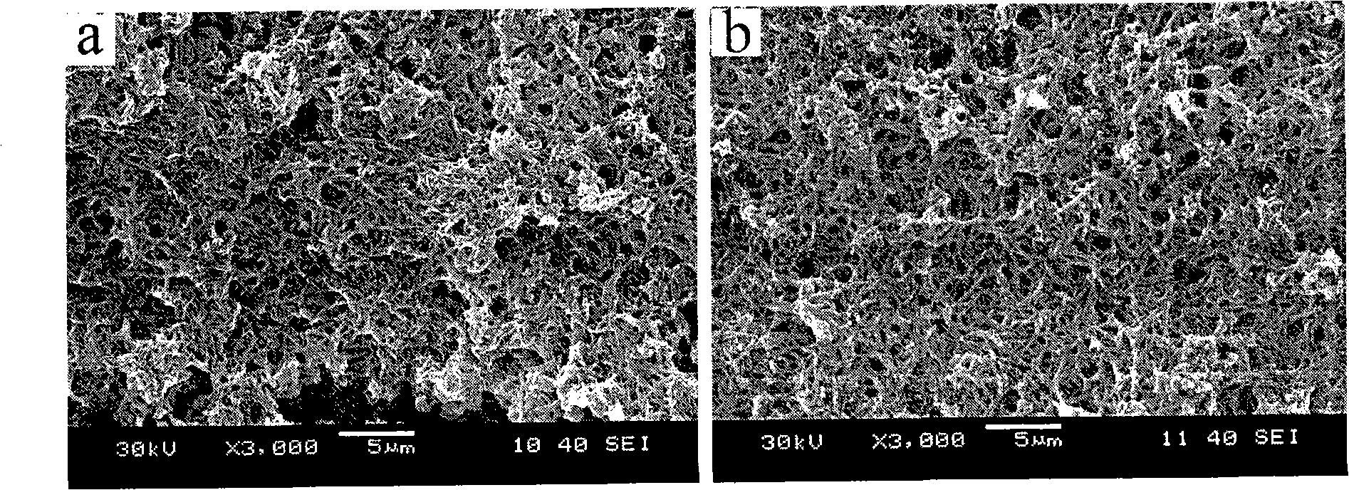 Nano-polyaniline material with morphology inheritance and electrochemical preparation method