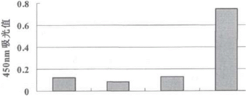 Artificial protein having vibrio cholerae toxin A-subunit and staphylococcus aureus characteristics and application thereof