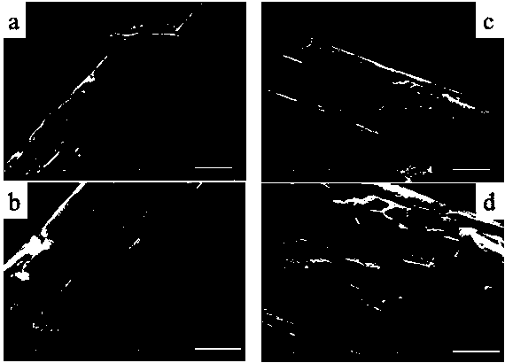 Combined pretreatment process for efficiently and environmentally friendly improving enzymolysis saccharification efficiency of lignocellulose