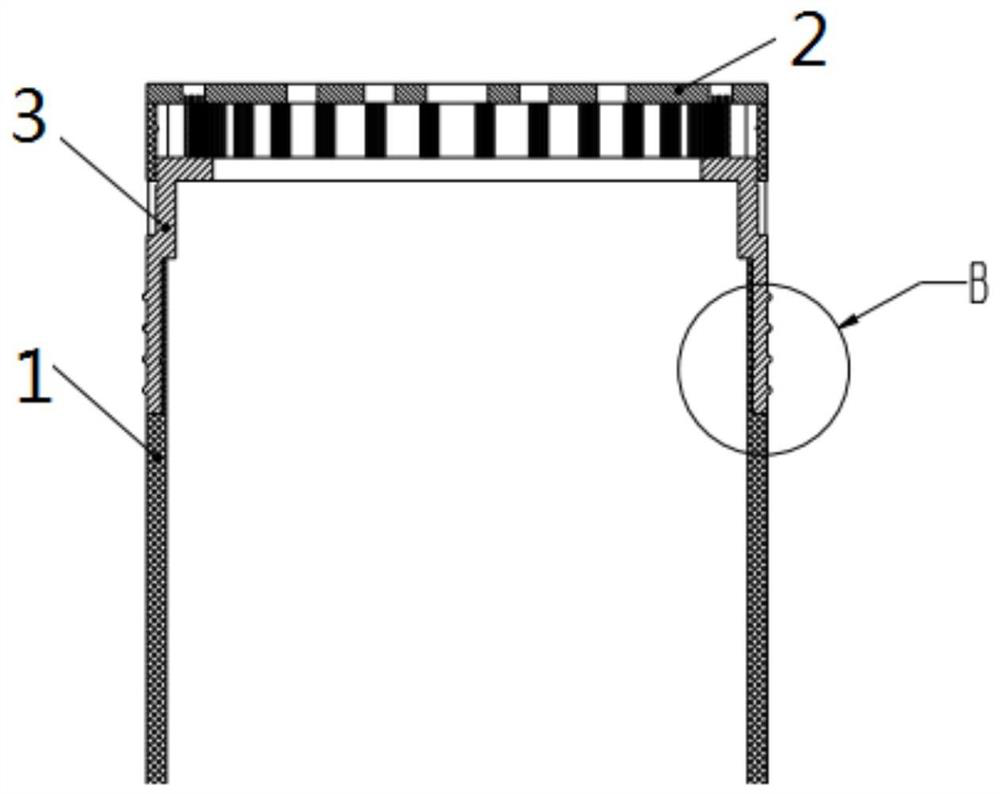 Brush head and garment steamer