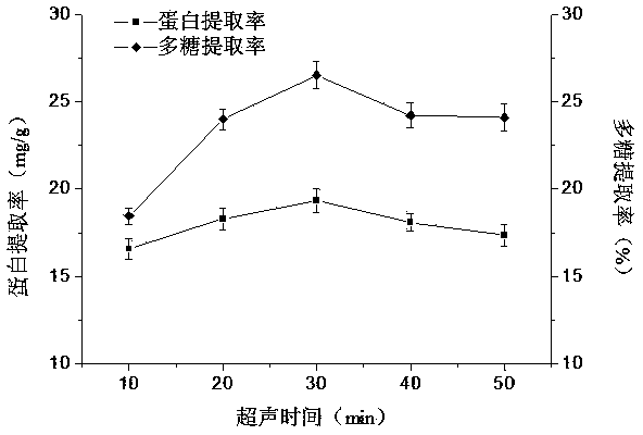 Method for synchronously and efficiently preparing chuanminshen violaceum protein and polysaccharide