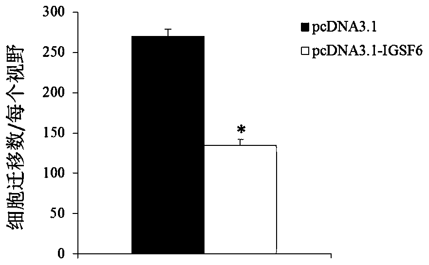 Application of igsf6 in preparation of products for diagnosis and treatment of multiple myeloma