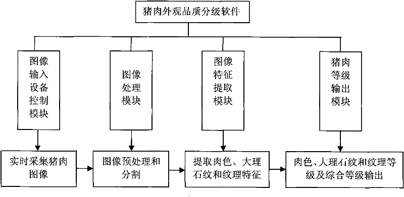 Machine vision-based real-time detection and grading method and grading device for pork appearance quality