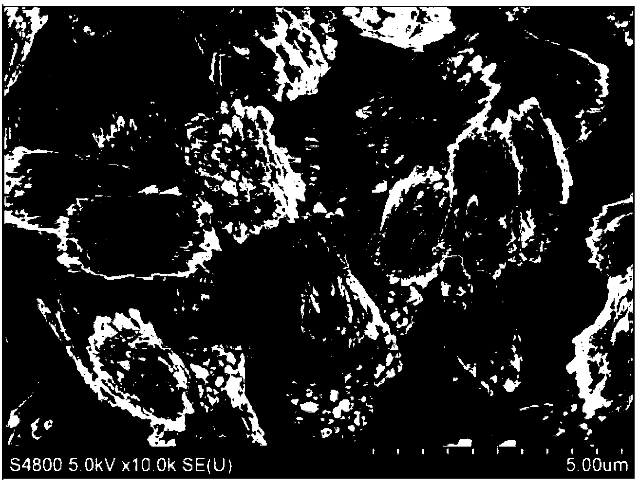 Method for preparing 2,6-dimethyl naphthalene by alkylation reaction of MgAPO-11 molecular sieve catalytic naphthalene