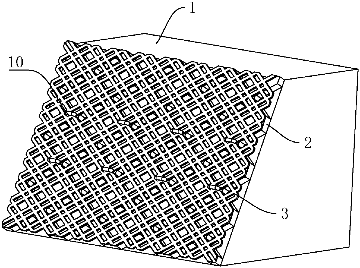 Reinforcing type ecological slope protection structure and construction method thereof