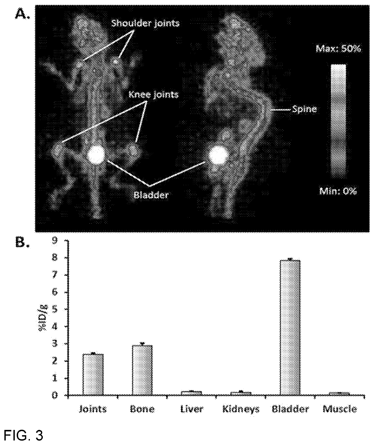 18f-labeled bisphosphonates for pet imaging