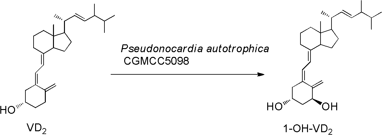 Method for preparing 1alpha-hydroxyl vitamin D through microbial transformation