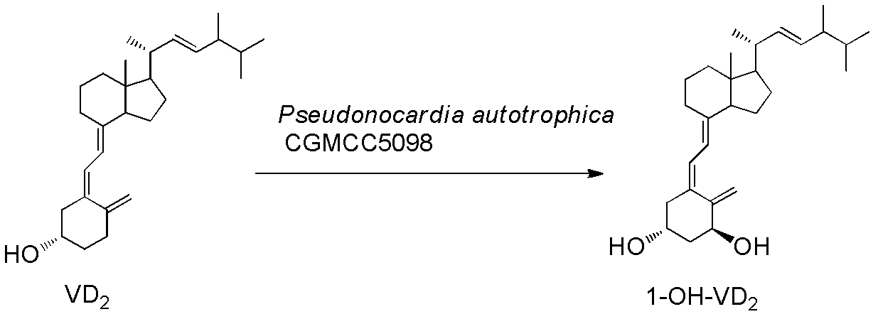 Method for preparing 1alpha-hydroxyl vitamin D through microbial transformation