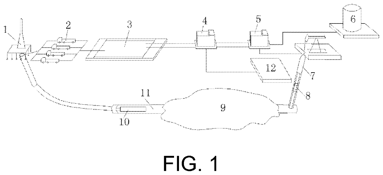 Method of extracting gas from tectonically-deformed coal seam in-situ by depressurizing horizontal well cavity