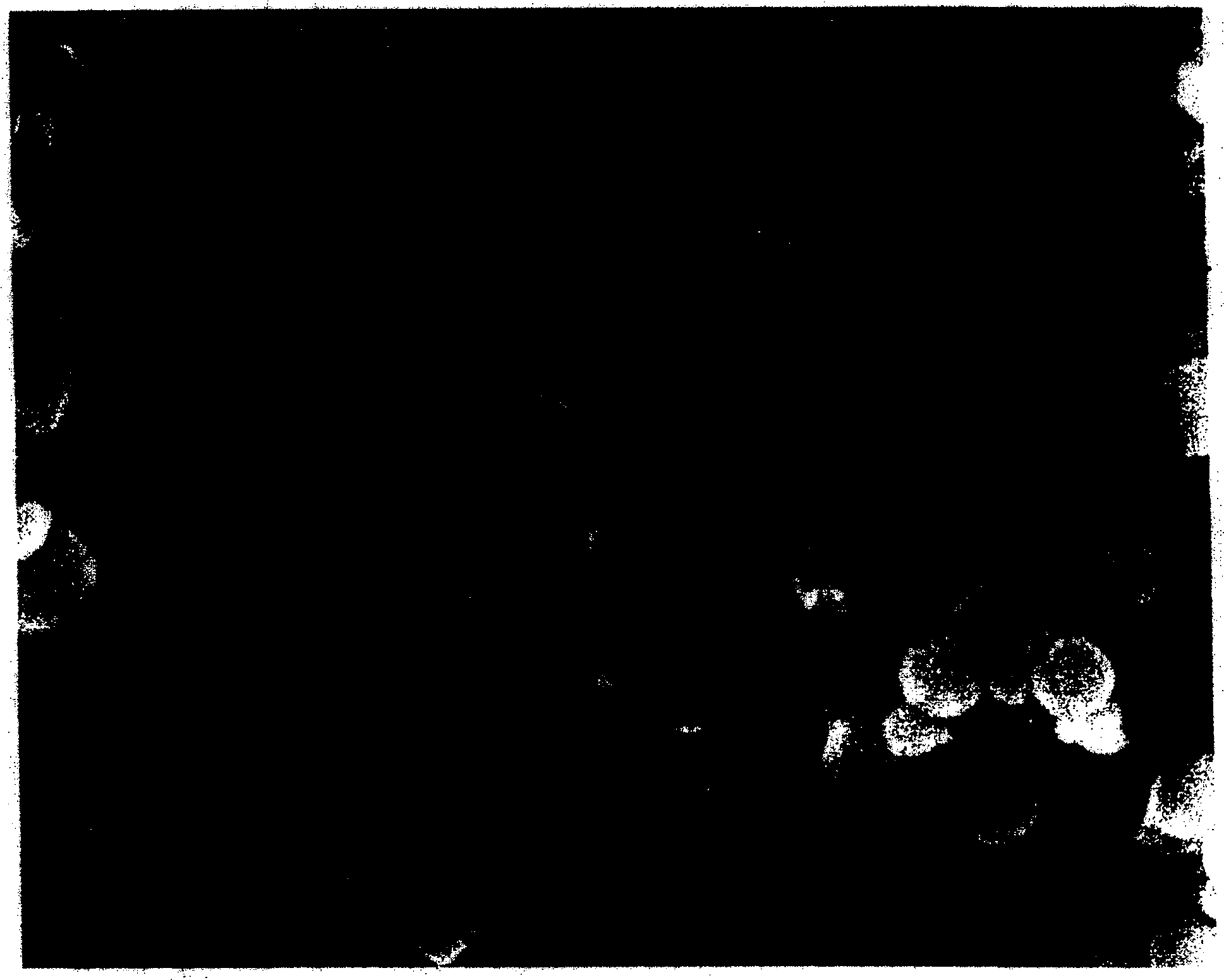 Method for preparing nano powdered material of non-ferrous metal by using electronic split process