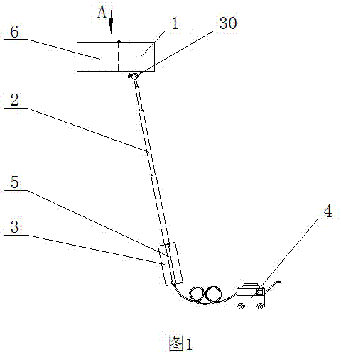 Method for killing longhorn beetle larvae with microwave