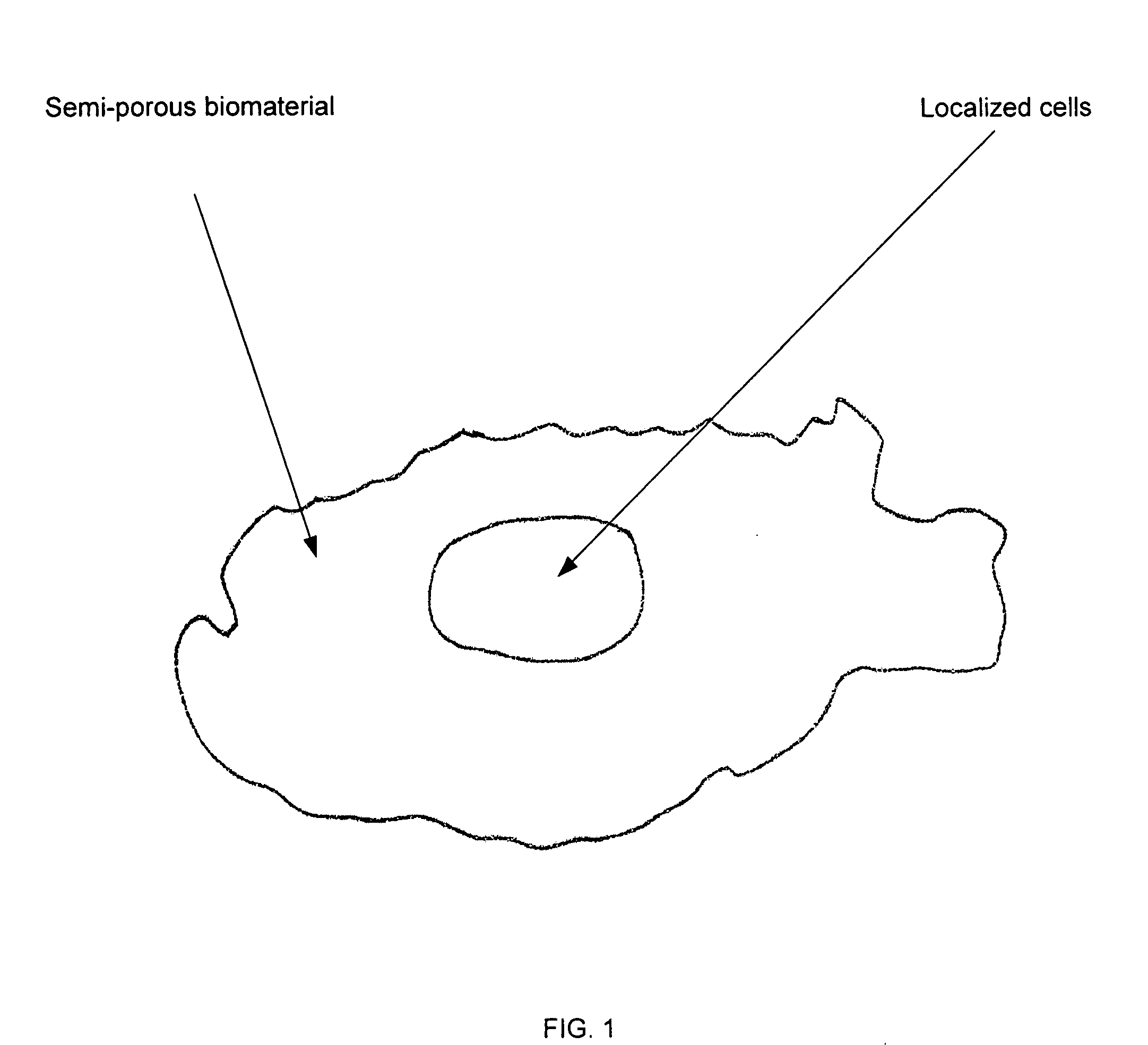 Cell delivery matrices