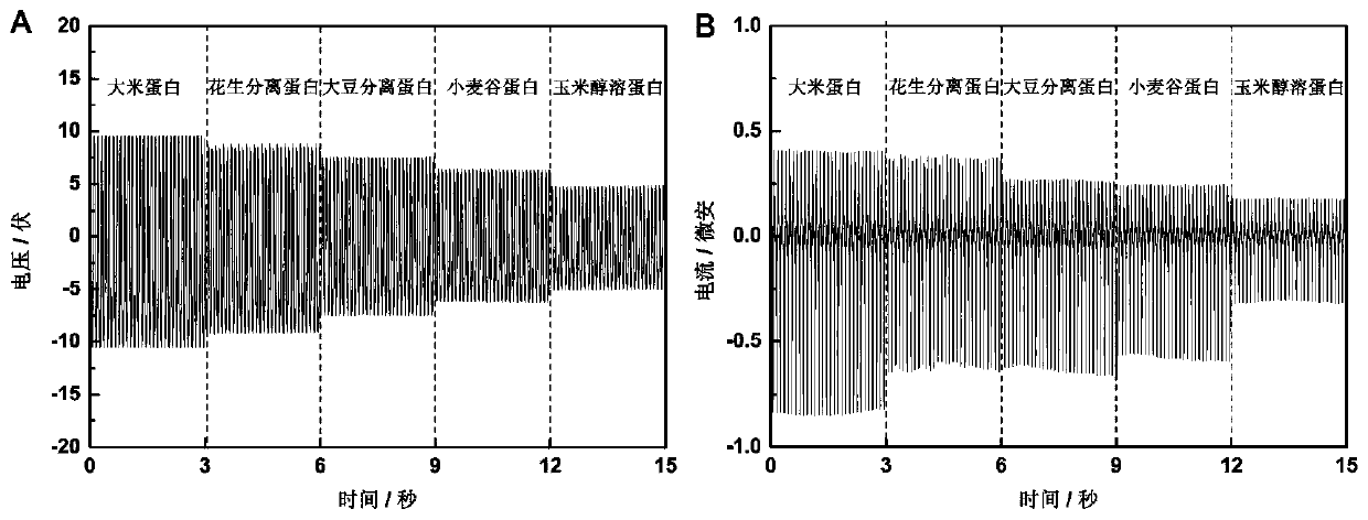 Vegetable protein friction nano-generator and application thereof