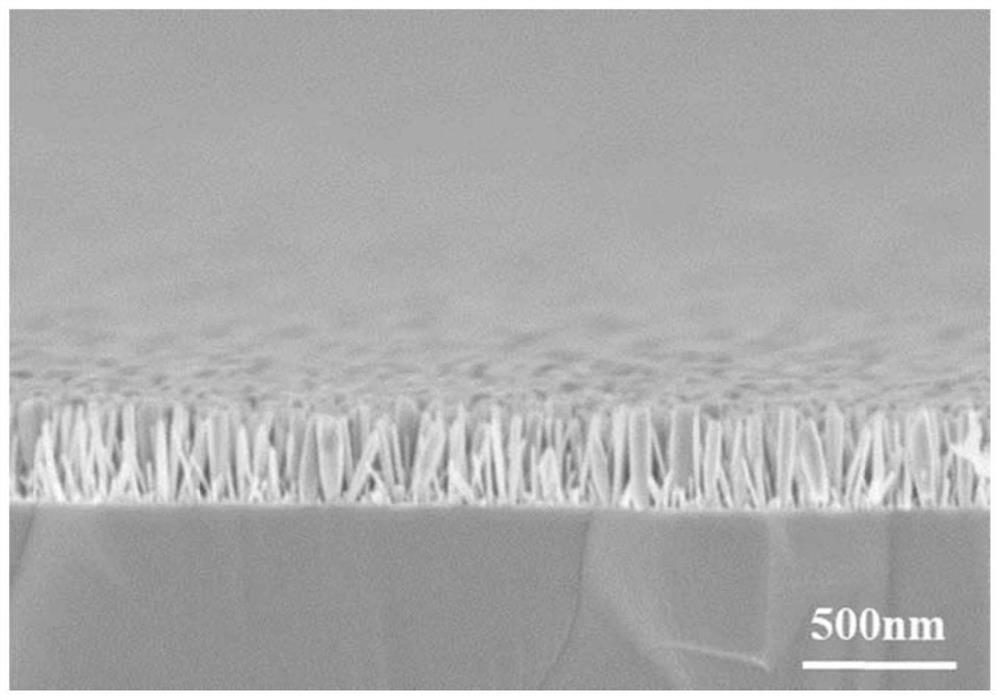 Annealed Si-based InN nanorod heterojunction and preparation method and application thereof