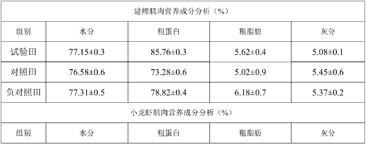 Green ecological compound feed suitable for comprehensive rice-fish farming and preparation method of green ecological compound feed