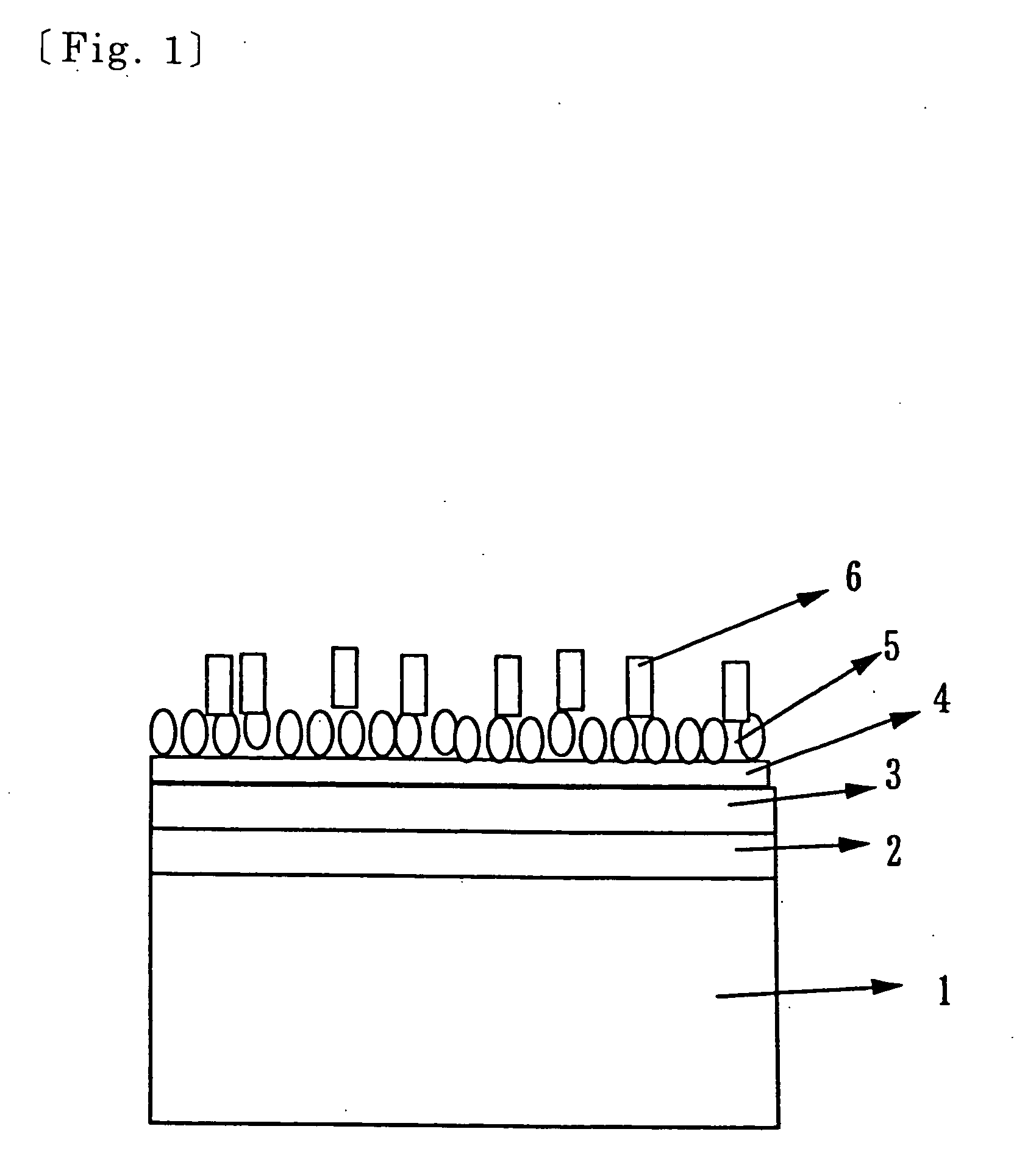 Biochip Production Method, Biochip, Biochip Analysis Apparatus, and Biochip Analysis Method