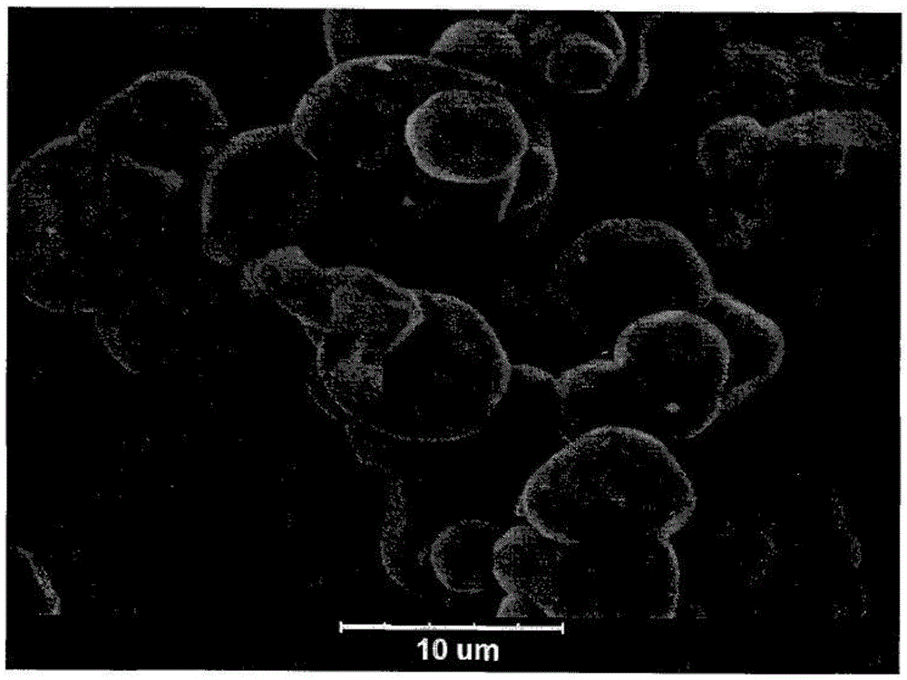 A kind of preparation method of large particle spherical cobalt tetroxide