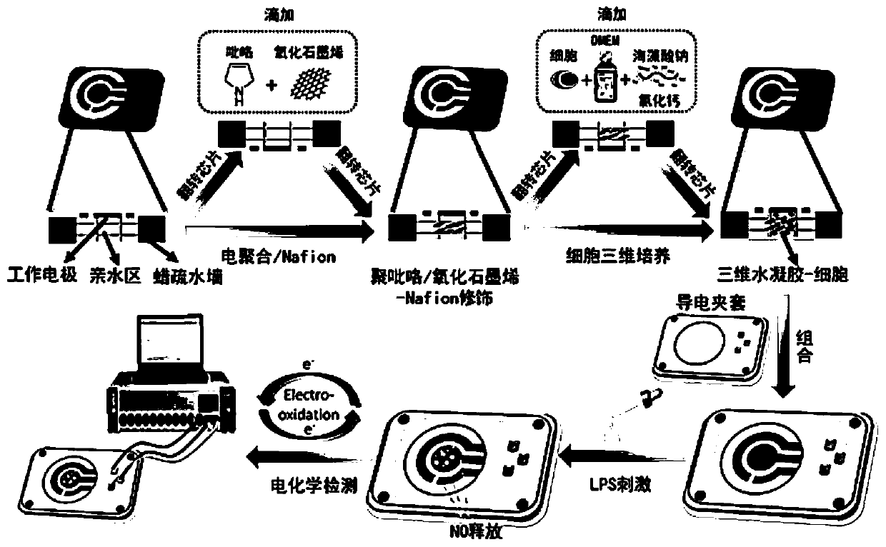 Three-dimensional cell paper chip sensor and application thereof in bacterial lipopolysaccharide detection