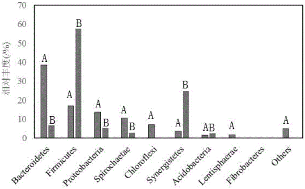 Low-temperature-resistant methanogen enrichment culture method and application thereof