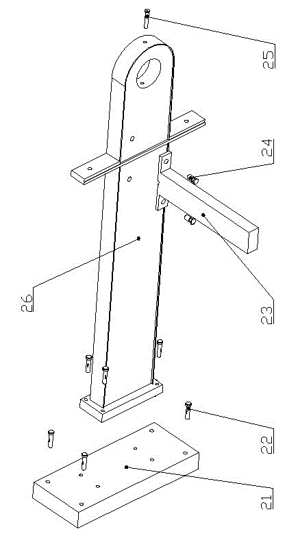 Particle collection and detection system